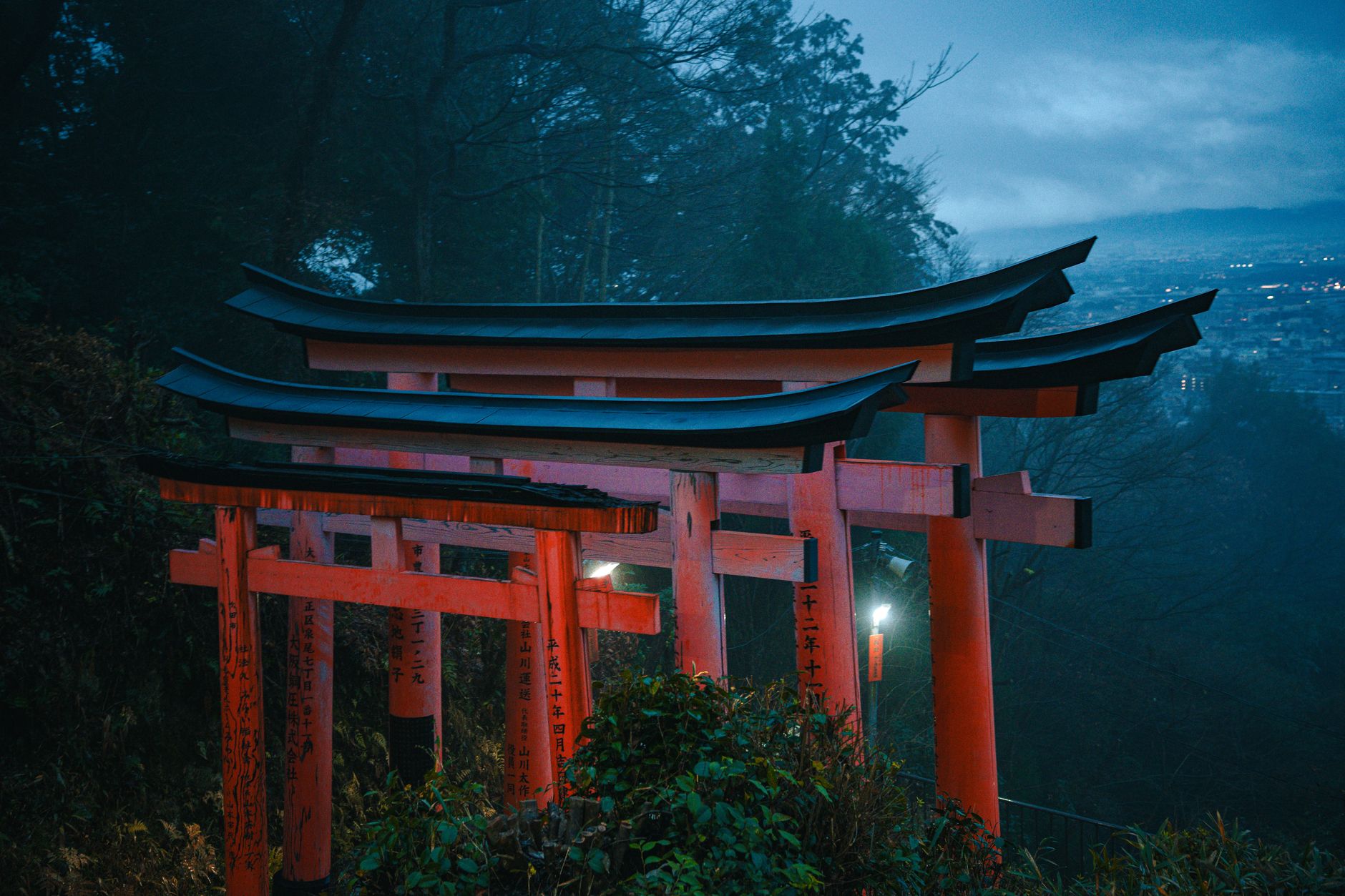 文京区の神社境内に差し込む朝光が美しいビジネスの朝活を想起させる清々しい風景
